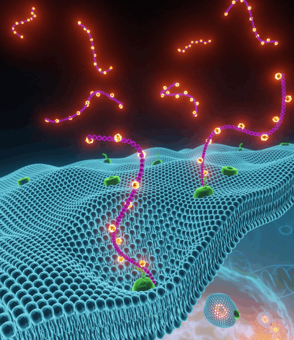 Illustration pour publication scientifique