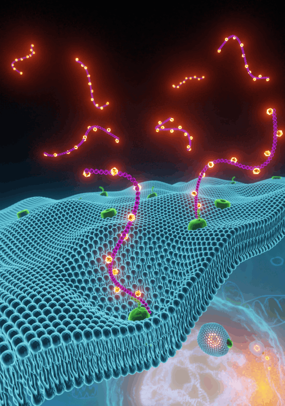 Infographie 3D pour l’Institut Curie Publication scientifique